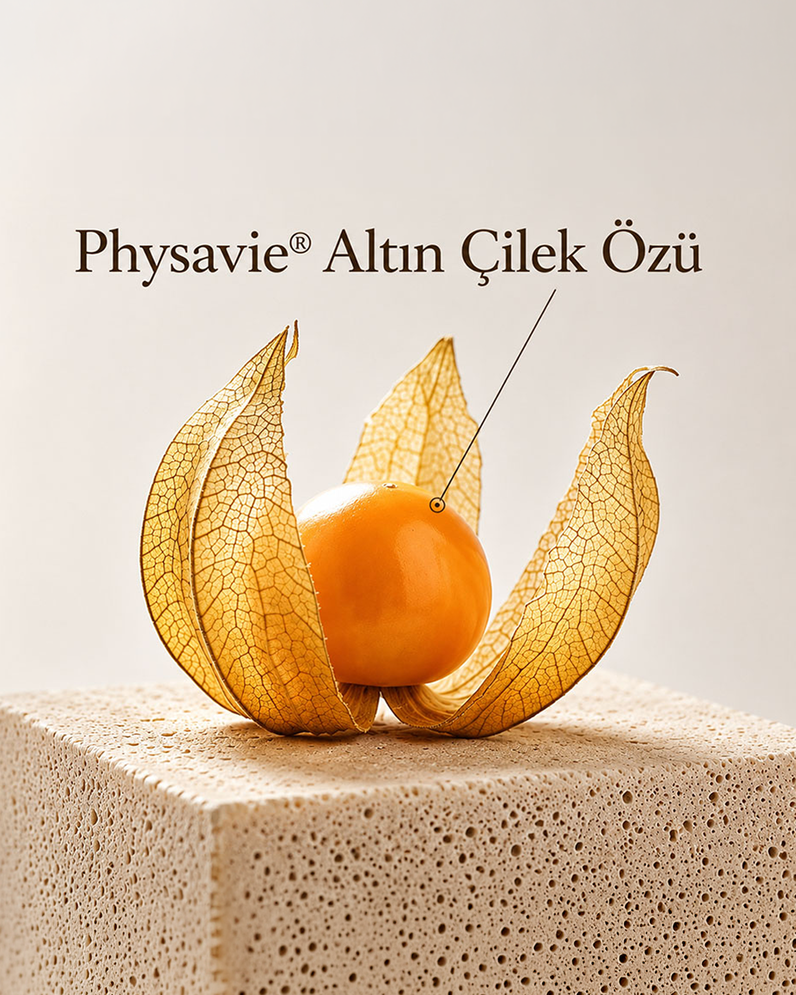 Fiyatın arkasında yalnız bir içerik adı yok